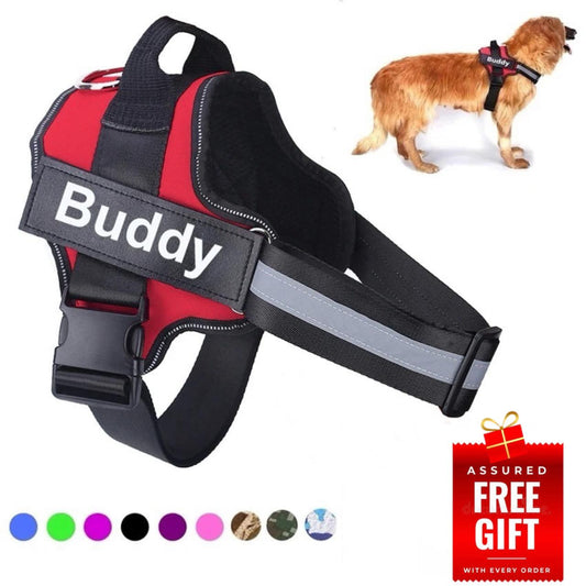 World's Best No Pull Dog Harness